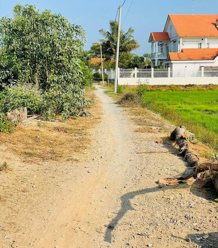 Đất lúa Xã Phú Thuận, Huyện Thoại Sơn 1337m² giá 550 triệu - Cơ hội đầu tư hấp dẫn!