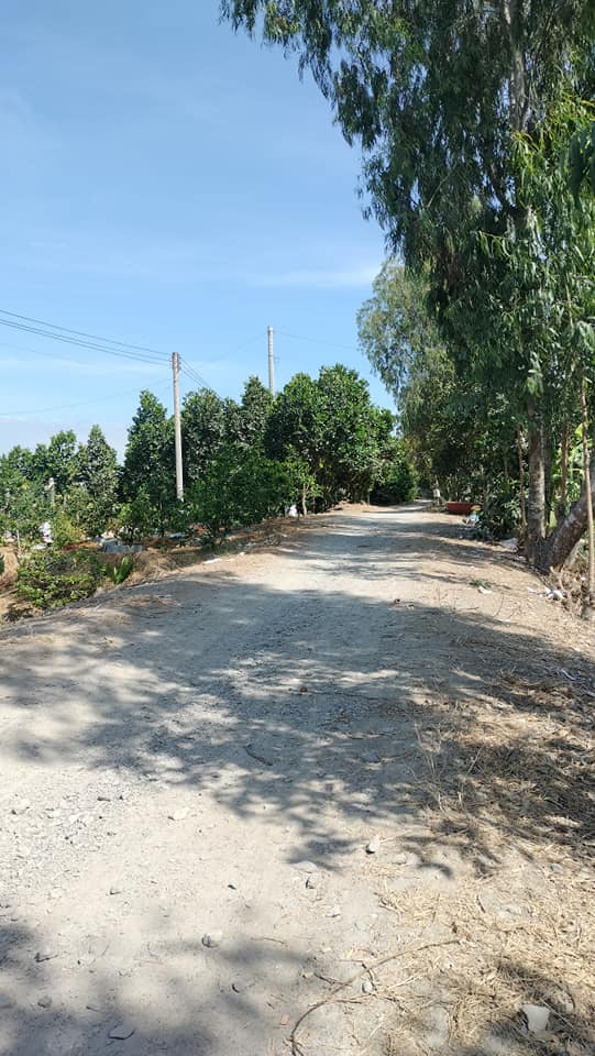 Đất nền 1247m² tại Châu Phú, An Giang - Giá đầu tư chỉ 1.2 tỷ!