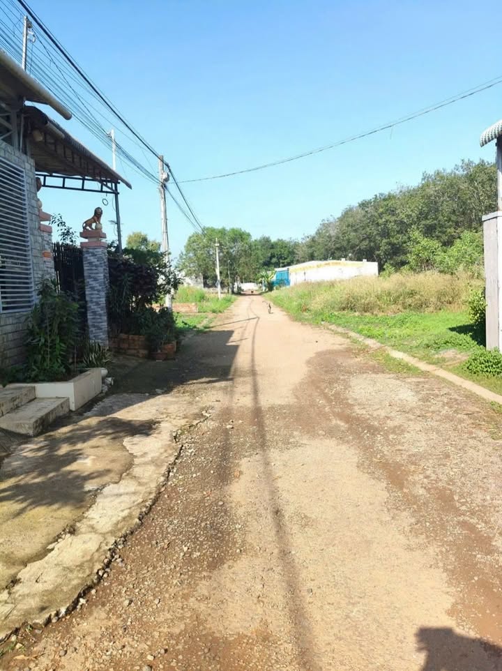 Đất nền Chơn Thành 115m² giá chỉ 500 triệu - Cơ hội đầu tư hấp dẫn!