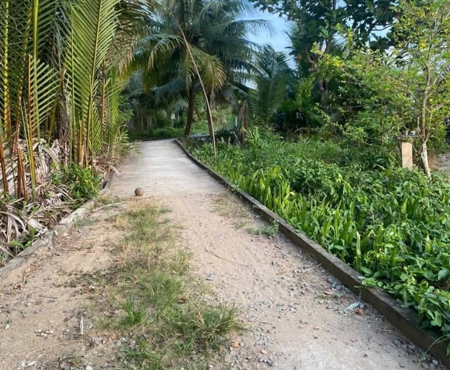 Đất thổ cư 283,7m² tại Phường An Hội, TP Bến Tre giá 790 triệu - Cơ hội đầu tư tốt!