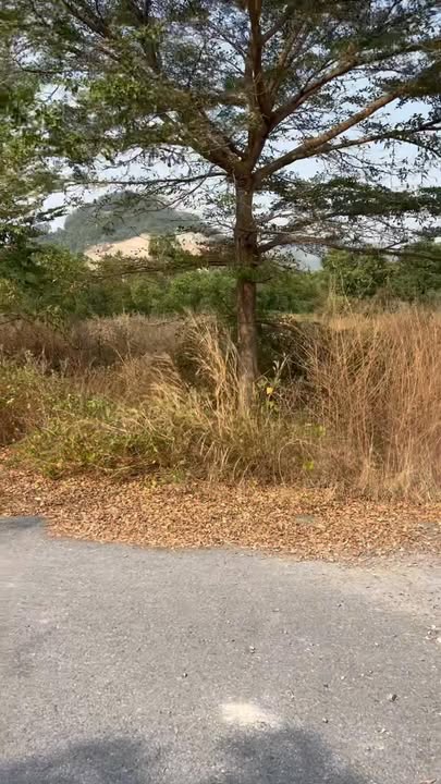 Đất nền Tân Phước, Phú Mỹ 150m² giá 1 tỷ - Lô góc đường nhựa hấp dẫn!