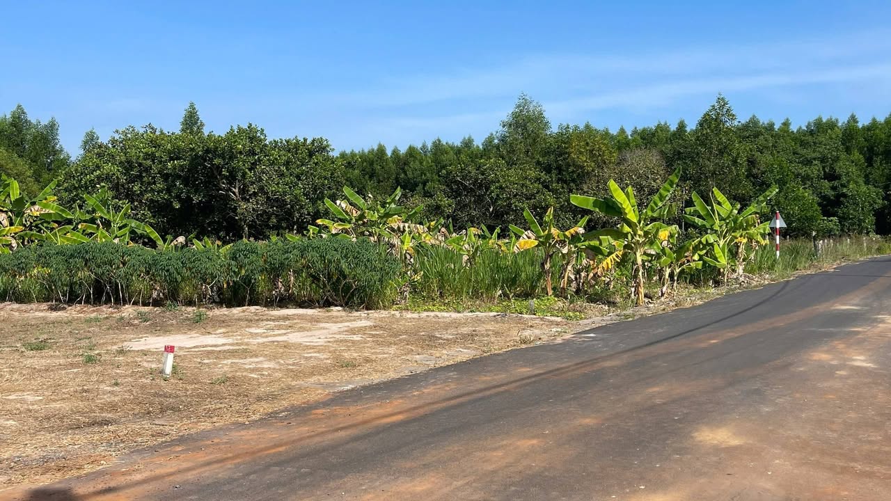 Đất nền xã Phước Tân, huyện Xuyên Mộc 360m² giá 2.25 tỷ - Sổ đỏ chính chủ