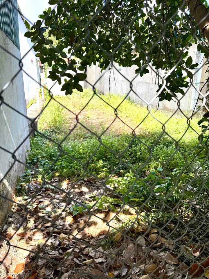 Đất thổ cư 116m² phường Đông Thành, giá 850 triệu - Cơ hội đầu tư tuyệt vời!