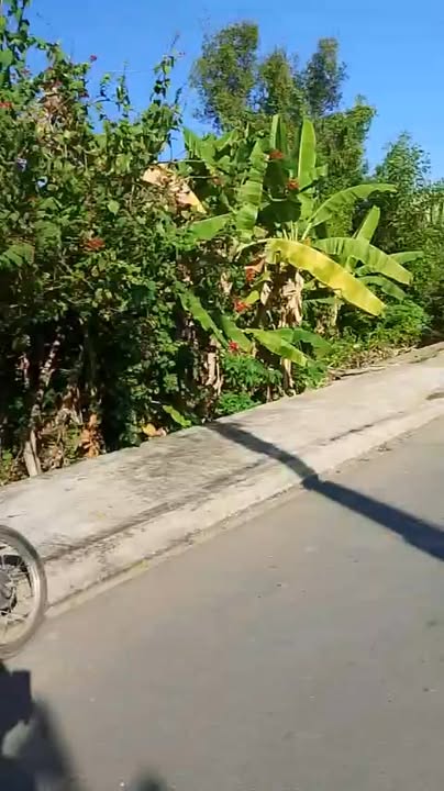 Đất nền chợ Tân Thạnh, Long An 122m² giá 1.1 tỷ - Đầu tư sinh lời hấp dẫn!