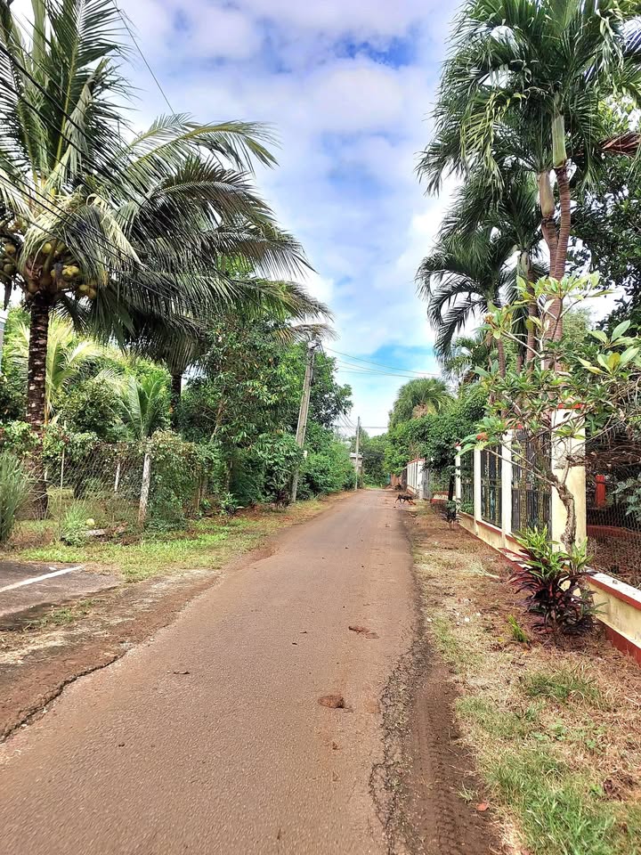 Đất nền Phường Long Khánh, Đồng Nai 110m² giá 790 triệu - Pháp lý rõ ràng