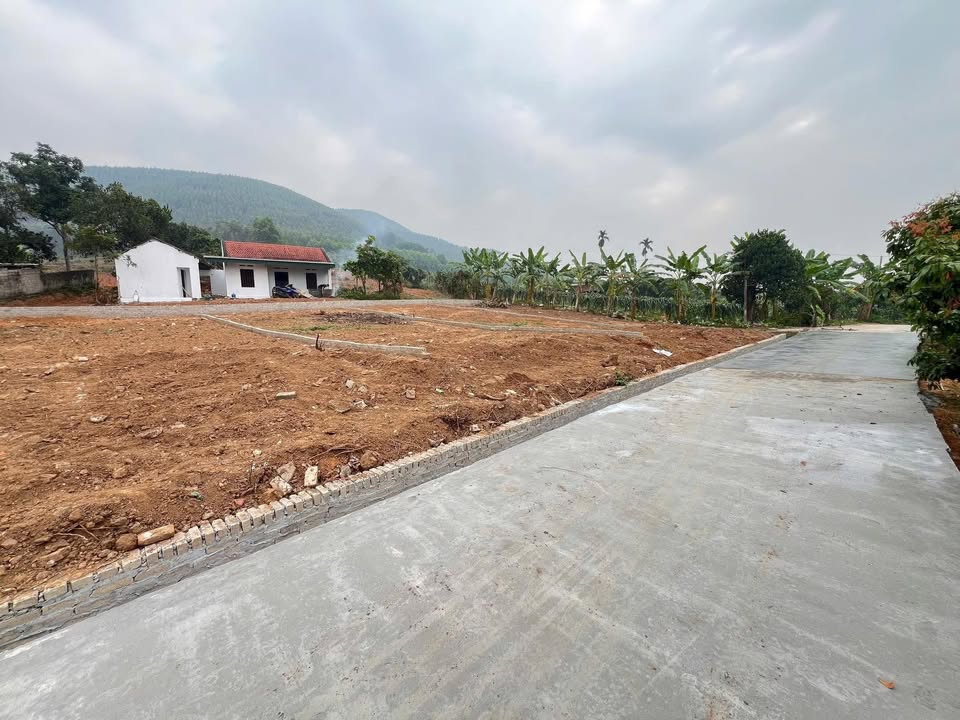 Đất nền xã Bình Sơn, Lục Nam 225m² - Giá chỉ 400 triệu - Sổ đỏ chính chủ!