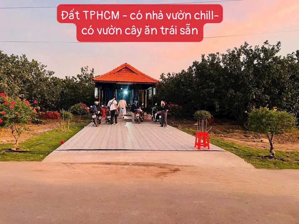 Đất vườn Dĩ An 250m² giá 950 triệu - Sẵn sàng ở ngay với vườn bưởi ra trái!