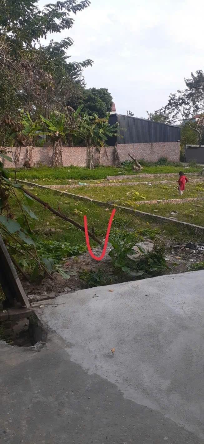 Đất nền làng 3, xã Mai Đình, Hiệp Hòa, Bắc Giang 100m² giá 1 tỷ - Cơ hội đầu tư không thể bỏ lỡ!