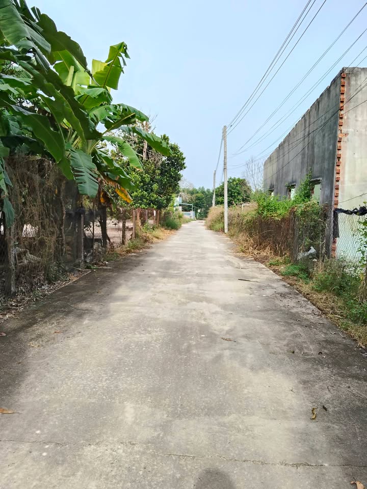 Đất nền hẻm Trưng Trắc, Tân An, La Gi 120m² giá 900 triệu - Sổ hồng chính chủ!