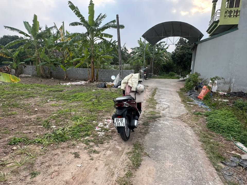 Đất nền Liên Phương Hưng Yên 68m² giá 2.2 tỷ - Cơ hội đầu tư tuyệt vời!