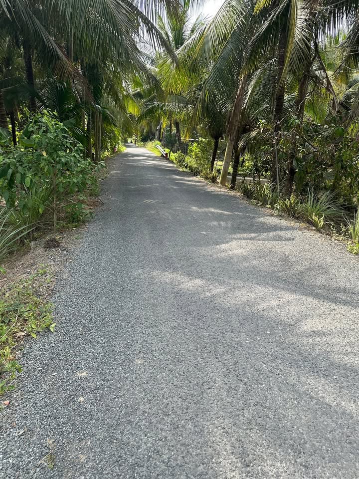 Đất nền Ấp Nhơn Hòa, Xã Hòa Tân, 345m² - Cơ hội đầu tư tuyệt vời!