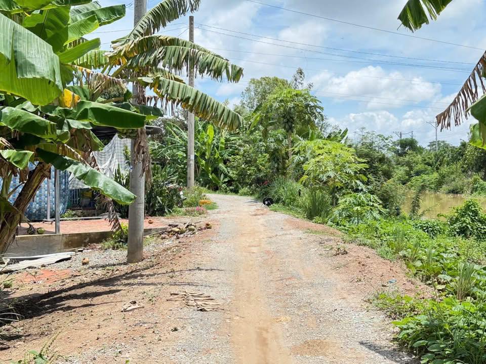 Đất nền xã Bình Hòa, Châu Thành, An Giang 180m² giá 500 triệu - Sẵn sàng cho cuộc sống mới!