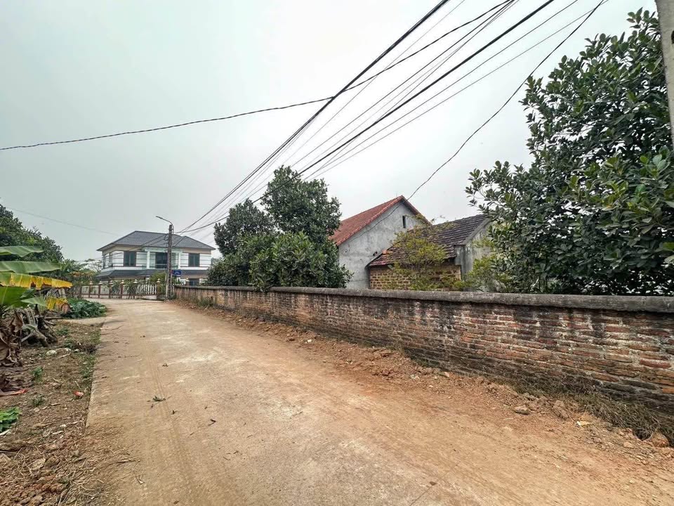 Lô đất thổ cư xã Phú Sơn, Gia Lâm 100m² giá chỉ 900 triệu - Cơ hội đầu tư hấp dẫn!