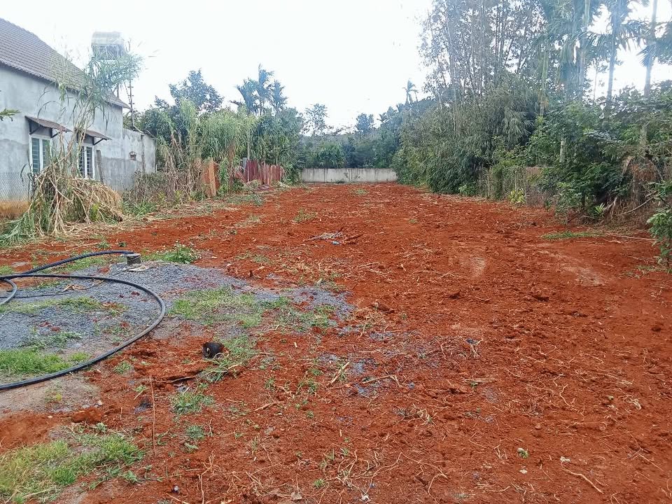 Đất nền Tân Lập 1014m² giá 3.999 tỷ - Cơ hội đầu tư hiếm có!