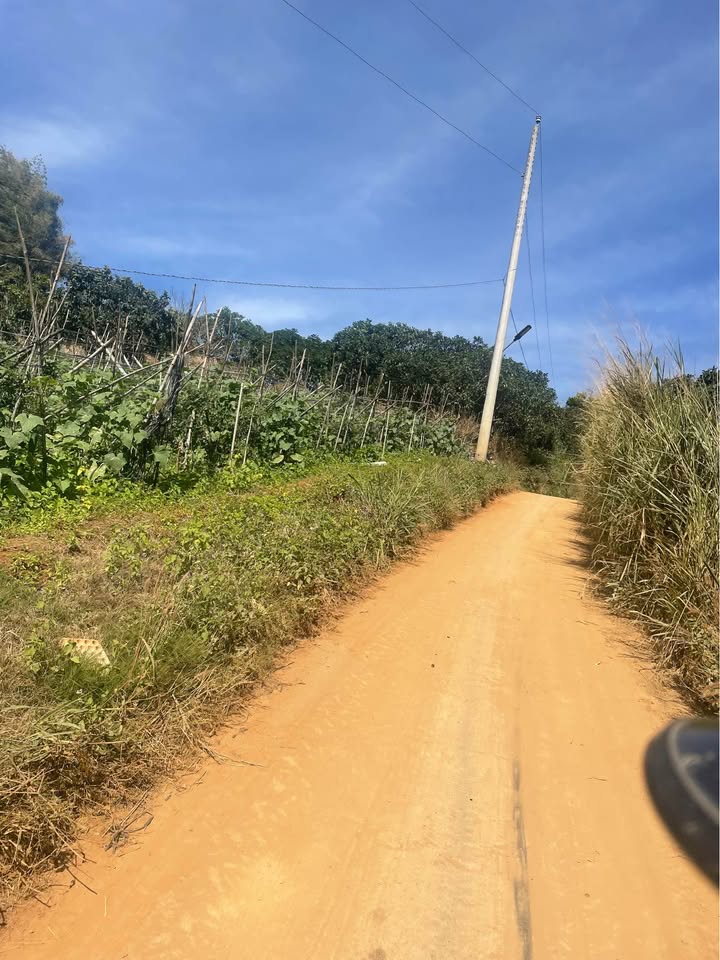 Đất nền 6,3 sào Thị trấn Liên Nghĩa, giá 2.82 tỷ - Cơ hội đầu tư hiếm có!