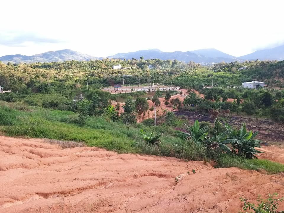 Đất nền Hòa Nam, Di Linh 6500m² giá 2,3 tỷ - Cơ hội đầu tư hấp dẫn!