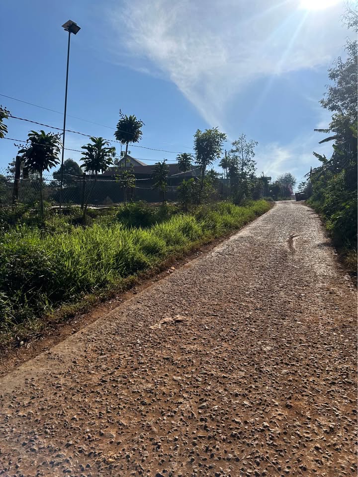 Đất thổ cư 270m² xã Di Linh giá 1.3 tỷ - Sổ hồng chính chủ!