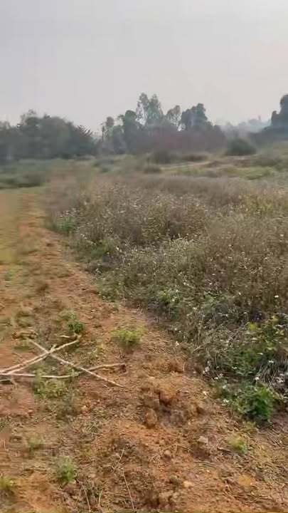 Đất nền Xã Thanh Đình 75m² giá 1 tỷ - Đường lớn 7m, pháp lý rõ ràng!