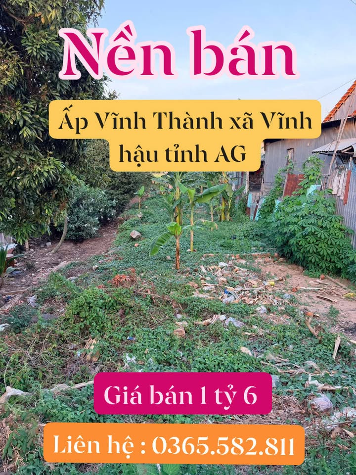 Đất nền 418m² tại ấp Vĩnh Thành, An Phú - Giá chỉ 1.6 tỷ, thương lượng!