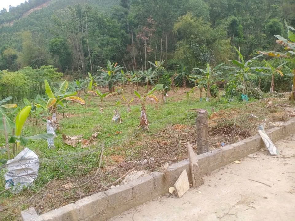 Đất nền Yên Bình, Thạch Thất 1112m² giá thỏa thuận - Cơ hội vàng không nên bỏ lỡ!