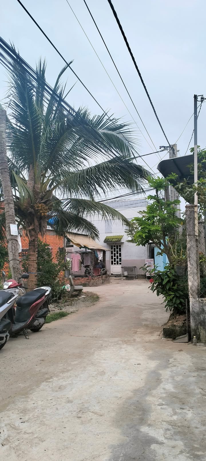 Đất thổ cư 800m² tại Quới Sơn, Châu Thành, Bến Tre giá 2.5 tỷ - Cơ hội đầu tư tuyệt vời!