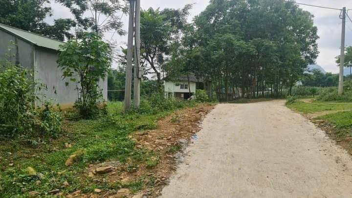 Đất thổ cư 621m² tại Lương Trung, Bá Thước, Thanh Hóa giá 470 triệu - Đầu tư sinh lời ngay!