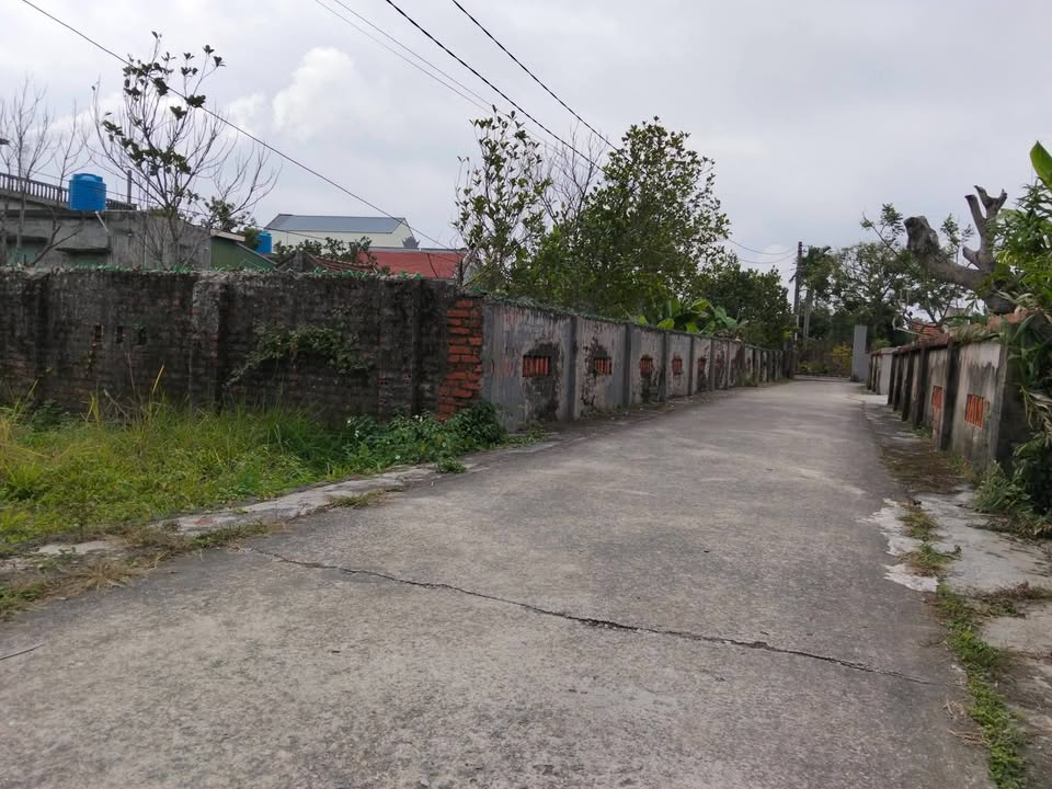 Đất nền Mỹ Lộc Nam Định 250m² giá chỉ 9xx triệu - Sổ đỏ trao tay!