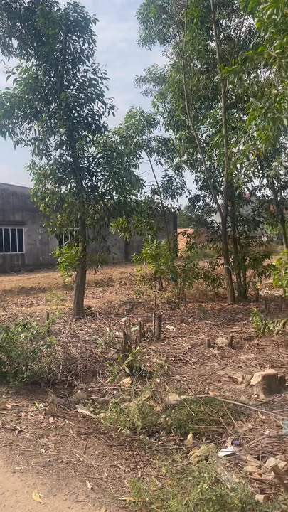 Đất nền Trảng Bom Đồng Nai 644m² giá 3.7 tỷ - Sổ hồng chính chủ, vị trí đẹp!