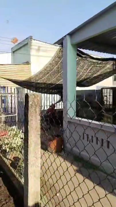 Đất nền Long An 135m² giá 1.9 tỷ - Sổ hồng riêng, gần chợ mới!