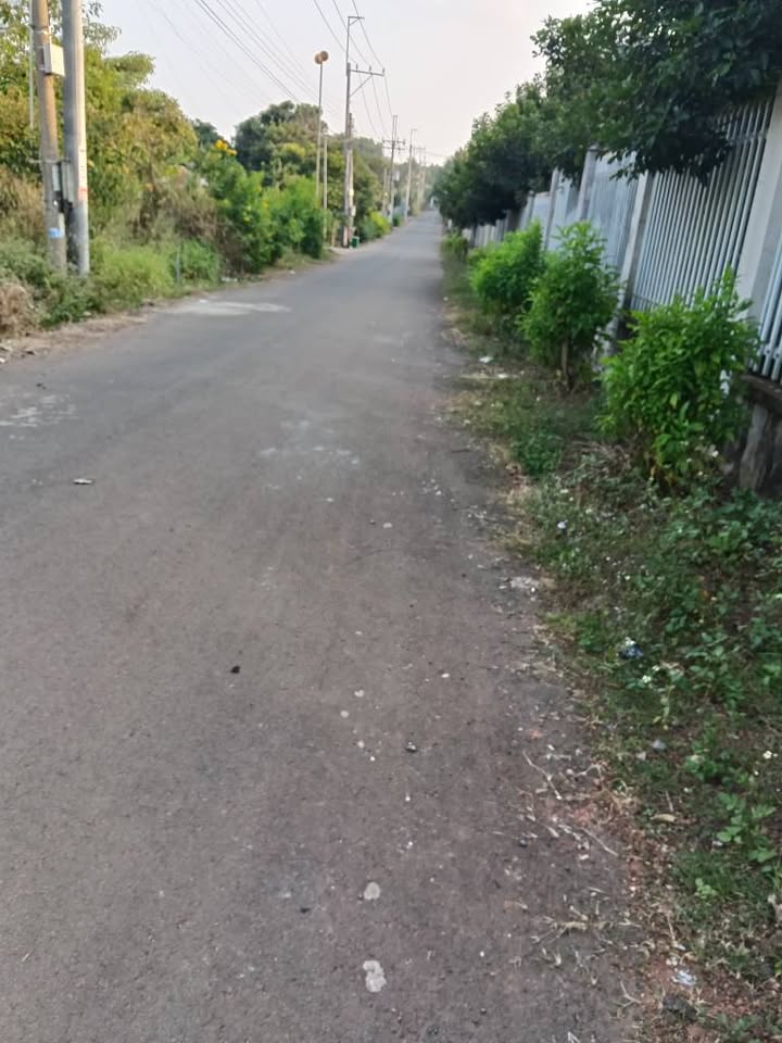 Đất vườn măng cụt 1.159m² xã Dầu Giây chỉ 820 triệu - Cơ hội đầu tư tuyệt vời!