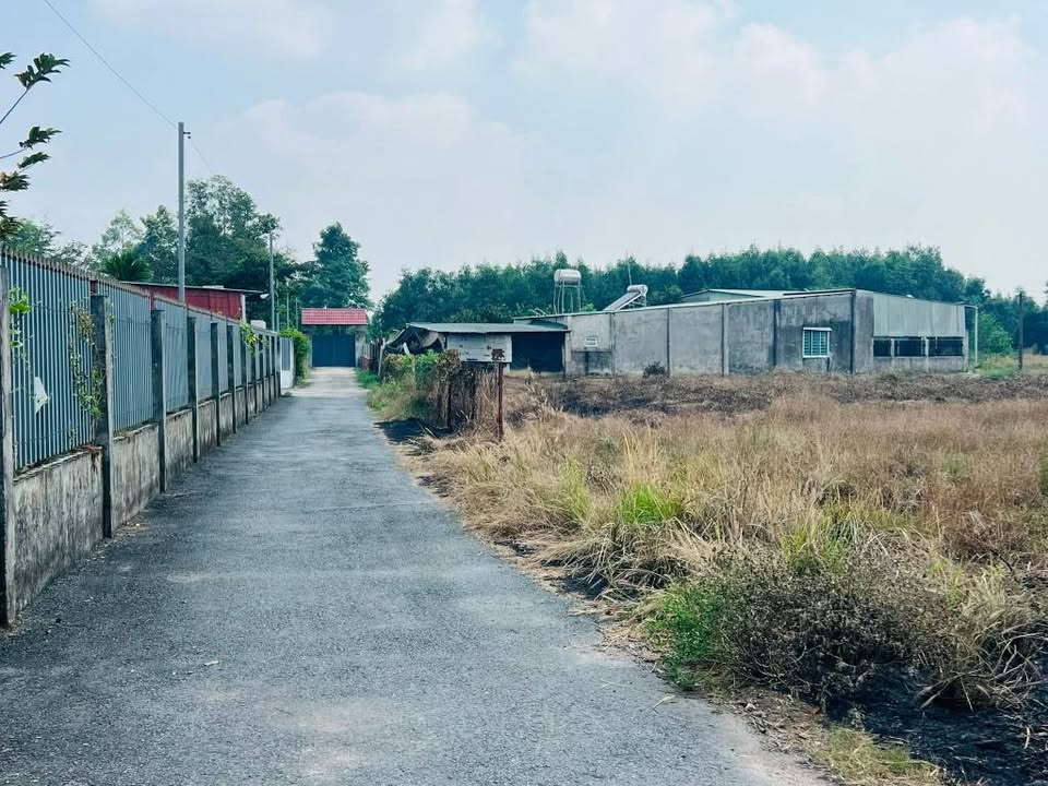 Đất thổ cư Long Thành 132m² giá chỉ 1.6 tỷ - Cơ hội đầu tư tốt!