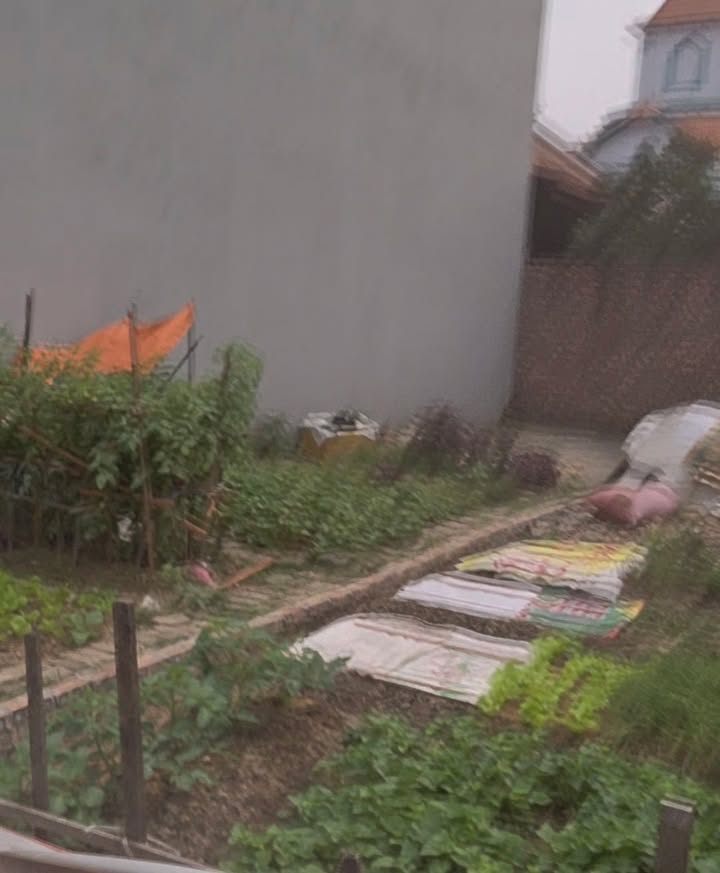 Đất nền Kim Thiều, Phù Khê 61m² giá chỉ 1 tỷ - Sổ đỏ chính chủ