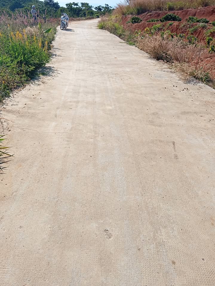 Đất nền Tân Văn, Lâm Hà 1260m² giá 1.2 tỷ - Mặt đường bê tông