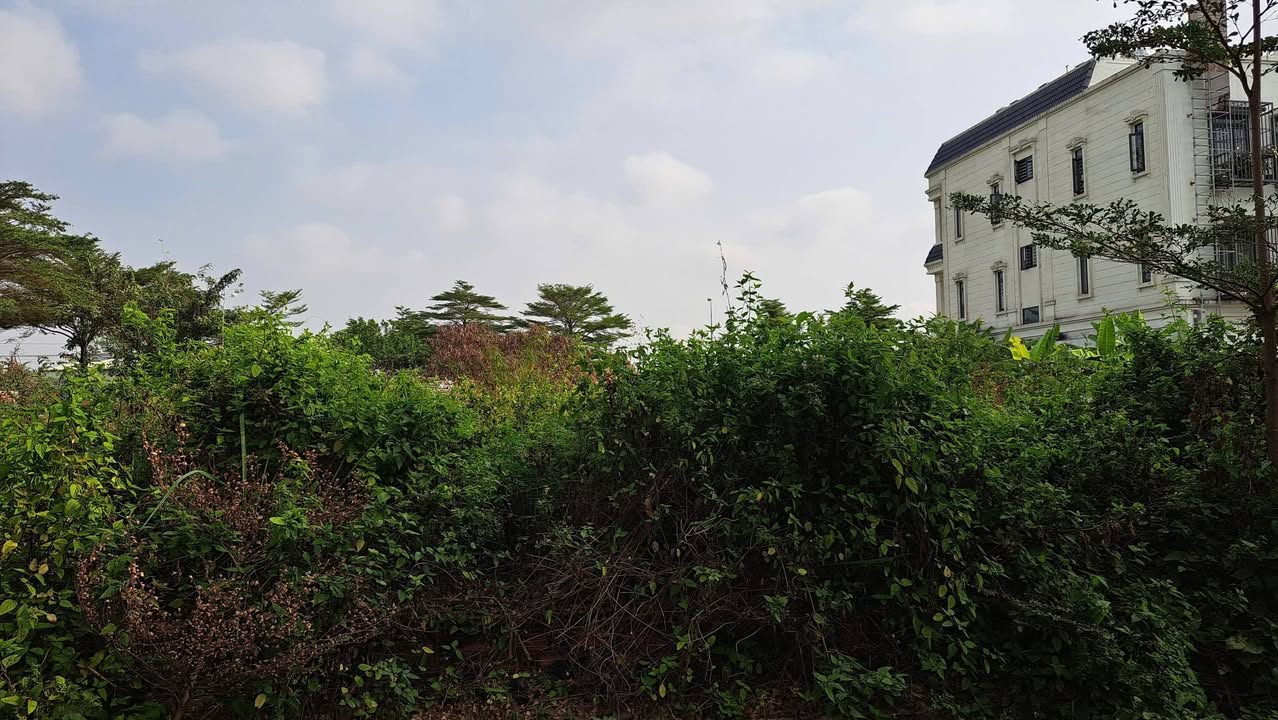 Đất biệt thự 160m² Phường 9, Quận Tân Bình giá 11 tỷ - Đường lớn xe hơi tránh nhau!