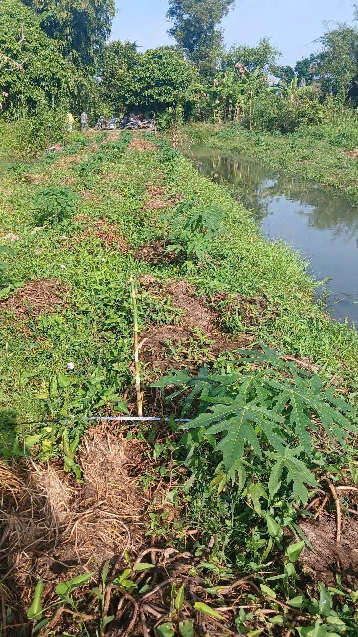 Đất thổ cư mặt tiền rạch Bà Khóan, Cần Thơ 4500m² chỉ 1.95 tỷ - Cơ hội đầu tư hấp dẫn!