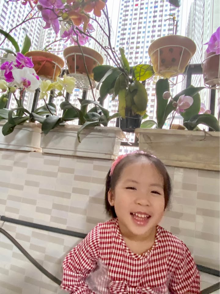 Đất nền Đông Hưng Thái Bình 97m² giá chỉ từ 200 triệu - Cần bán gấp!