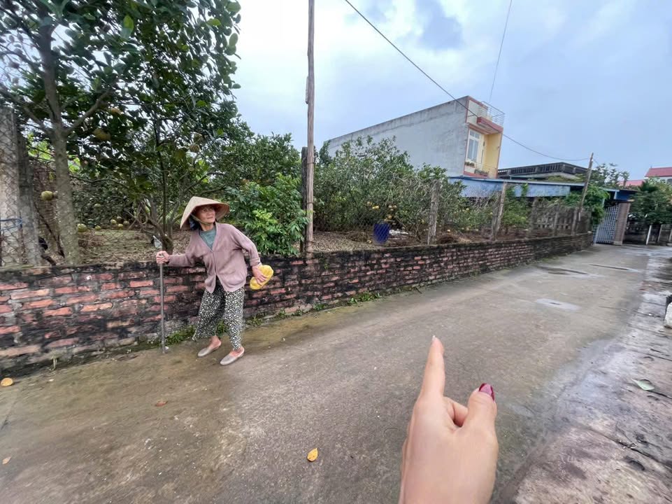 Đất nền 90m² tại Thanh Lâm, Mê Linh, Hà Nội - Giá chỉ 3.9 tỷ!