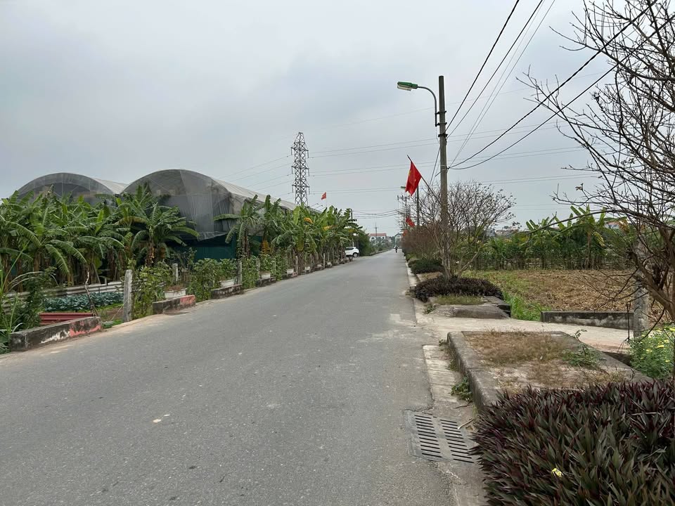 Đất nền Dương Đức Hiền Gia Lâm 40m² giá 3 tỷ - Chính chủ cần thanh khoản gấp!