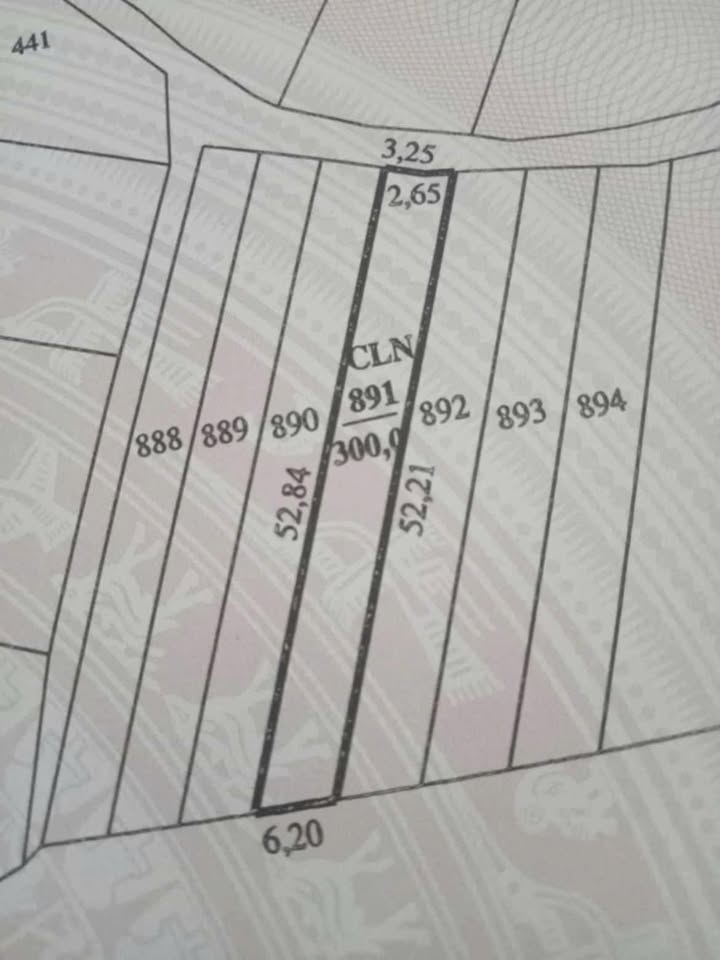 Đất nông nghiệp tại phường Đô Vinh, 300m² giá chỉ 300 triệu - Cơ hội đầu tư hấp dẫn!