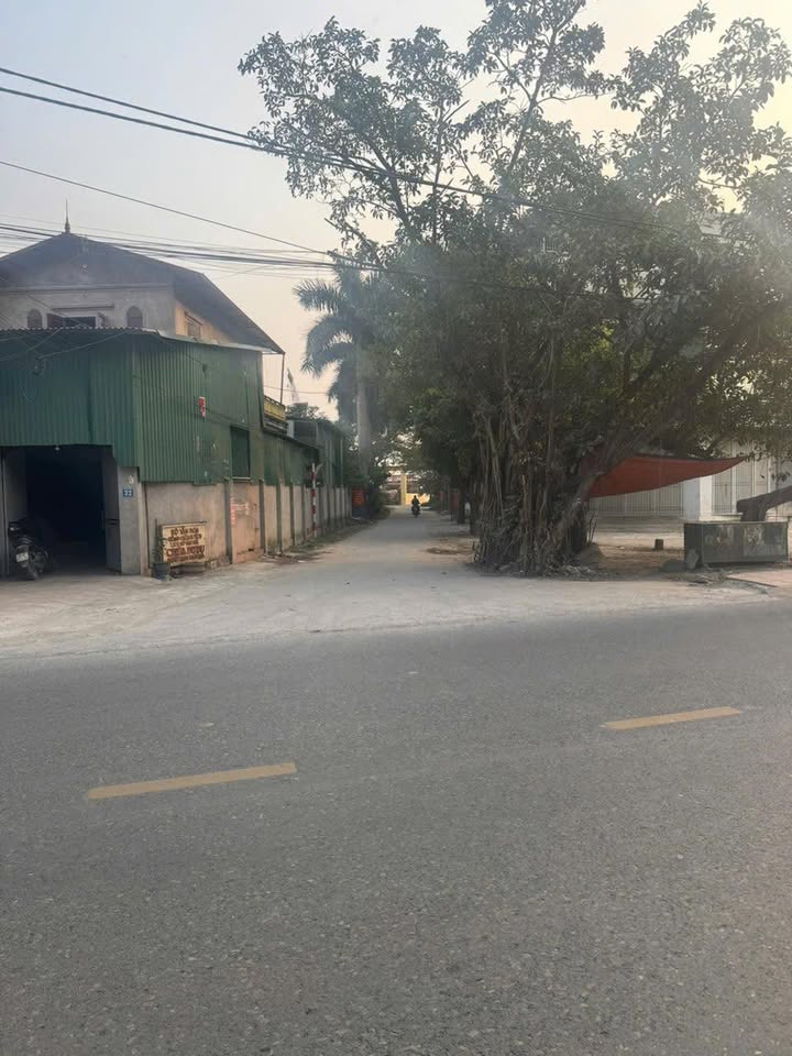 Đất thổ cư Thôn Dư Dụ, Xã Tam Hưng, 65m² giá 4.045 tỷ - Đường ô tô đỗ cửa!