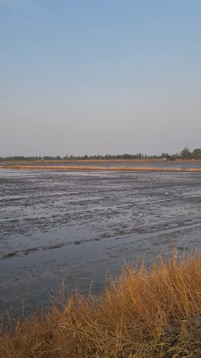 Đất thổ cư Phường 2, Thị xã Kiến Tường 1000m² giá 1 tỷ - Hướng Nam, vuông vức!