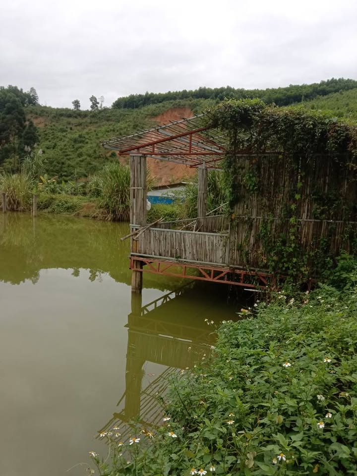 Trang trại 4,2ha Huyện Ninh Hải - Bán gấp, ô tô vào tận nơi!