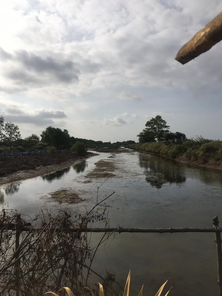 Đất nông nghiệp Huyện Năm Căn 34.000m² giá 700 triệu - Cơ hội đầu tư hấp dẫn!