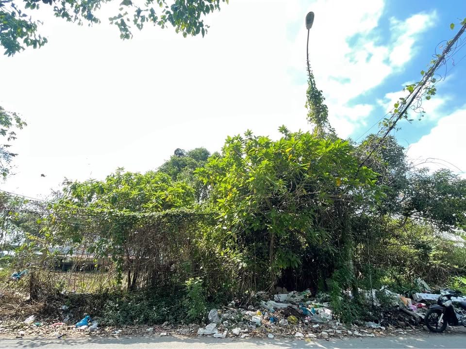 Đất nền biệt thự KDC Xây Dựng Cần Thơ 215m² giá 8 tỷ - Vị trí đắc địa đối diện công viên!