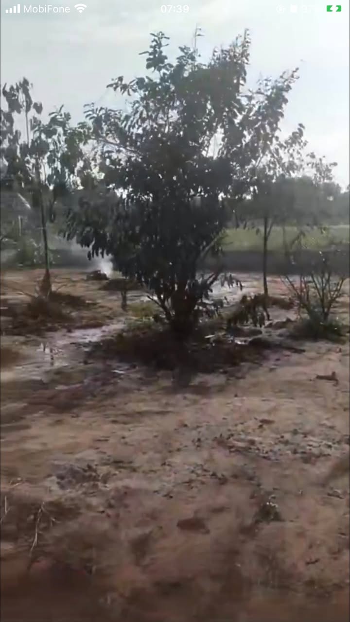 Nhà vườn Ấp Bàu Tre 1, Xã Tân An Hội 793m² giá 2.7 tỷ - Đường ô tô thuận tiện!