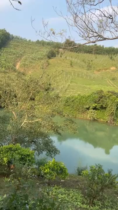 Đất nền Ngọc Mỹ, Tân Lạc 600m² giá 600 triệu - Cơ hội đầu tư sinh lời!