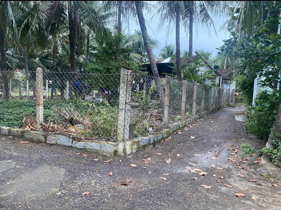 Đất 3 mặt tiền tại Thôn Đắc Lộc, 163m² giá 1.83 tỷ - Sổ đỏ chính chủ!