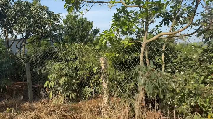 Đất nền Liên Hà, Lâm Hà 5000m² giá 2.5 tỷ - Cơ hội đầu tư tuyệt vời!