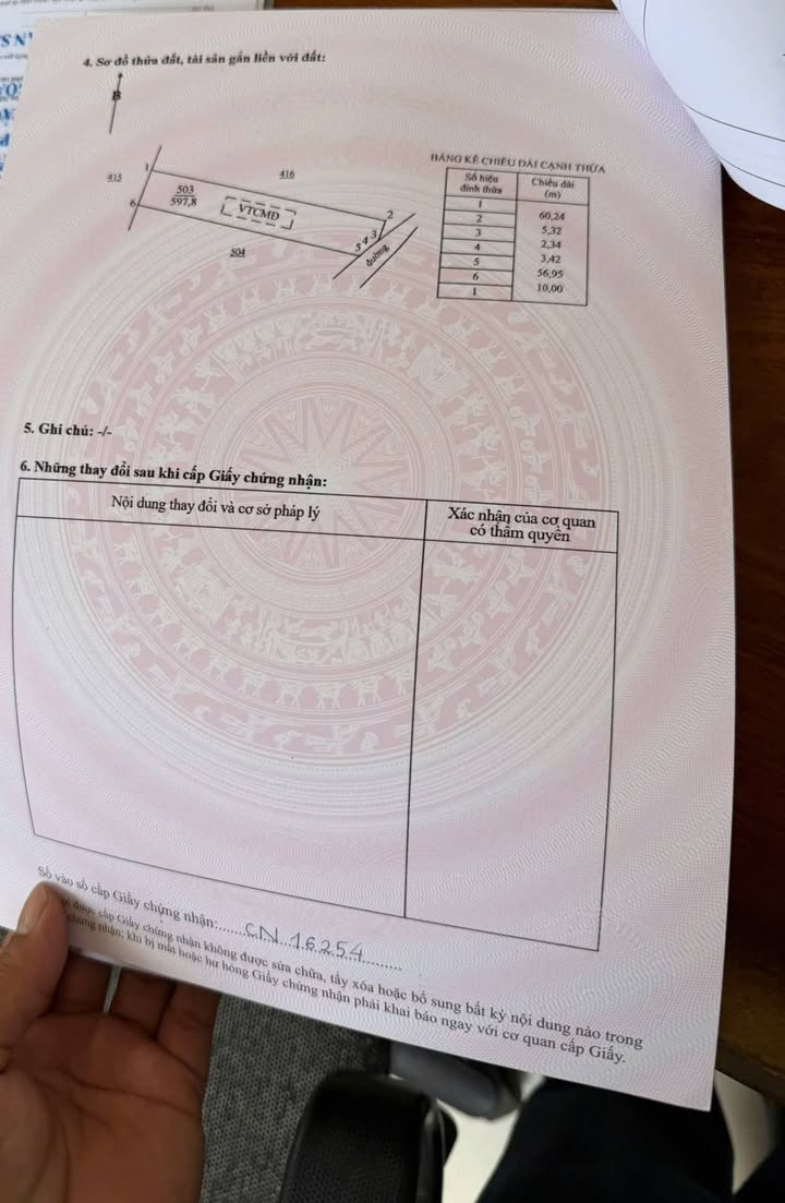 Đất thổ cư 600m² tại Hội Mỹ, Phước Hải chỉ 1 tỷ - Cơ hội đầu tư hấp dẫn!