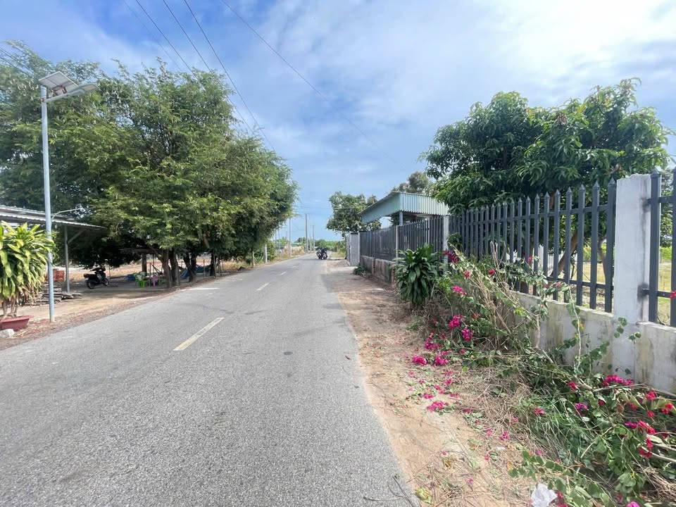 Đất Biển Phước Hải, Bà Rịa - Vũng Tàu 400m² chỉ 2.35 tỷ - Cơ hội đầu tư tuyệt vời!